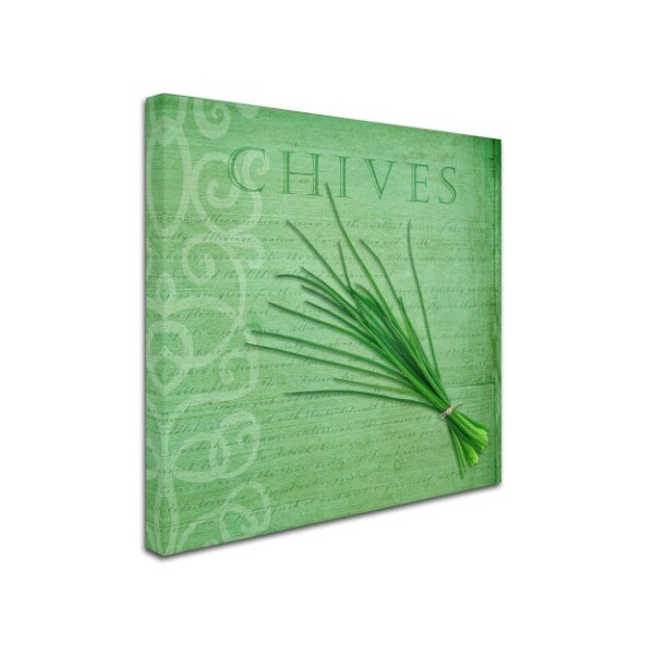 Cora Niele 'Classic Herbs Chives' Canvas Art,35x35